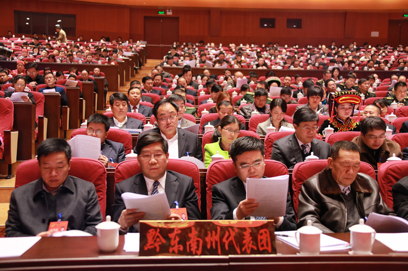 听取审议报告