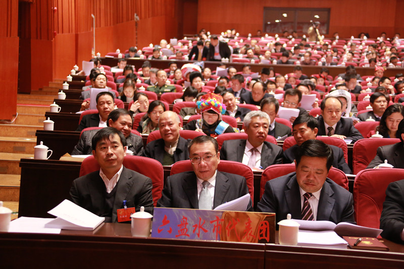 听取审议报告