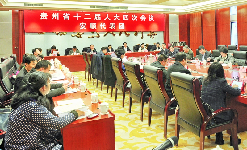 安顺代表团审议《政府工作报告》