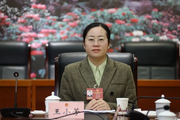 履职风采｜王小芳代表：提升审判执行工作质效 增强人民群众司法获得感