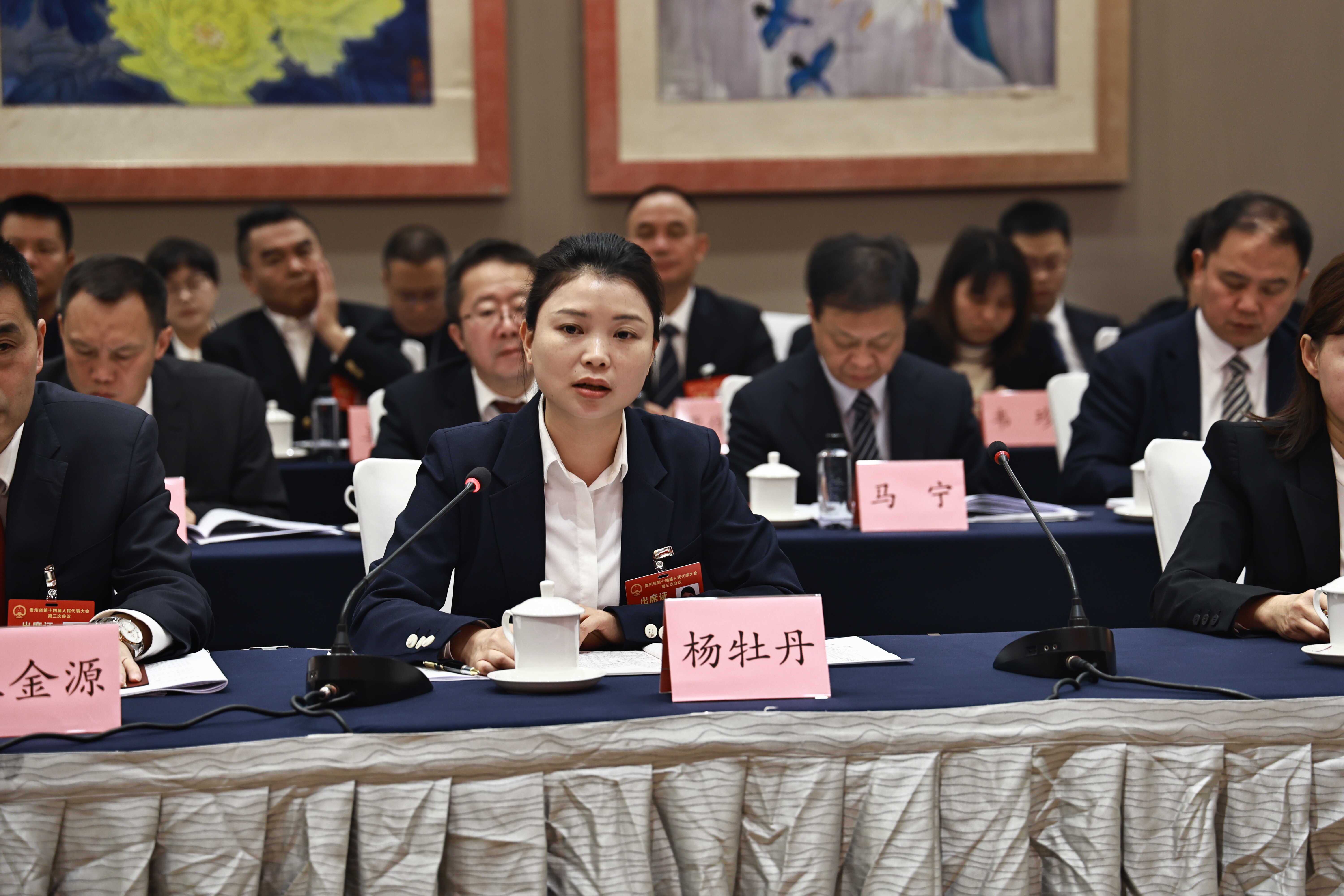 我从基层来 | 杨牡丹代表：做好牛产业，为乡村振兴赋能添彩