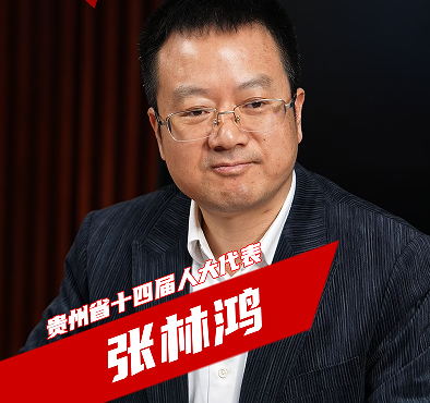 张林鸿代表：加快把能源优势转化为发展优势  推动全省经济社会高质量发展