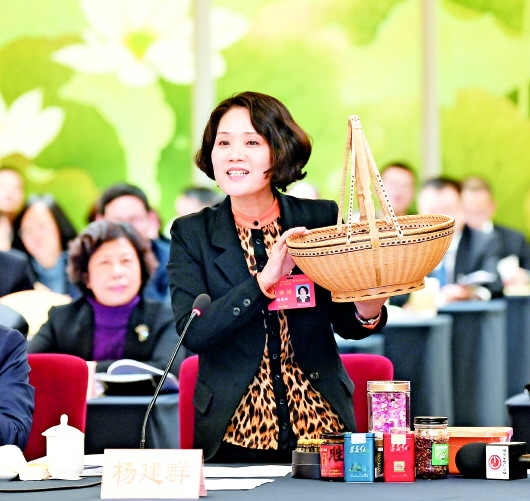 杨建群代表:农村产业革命好,农民不搞富不了