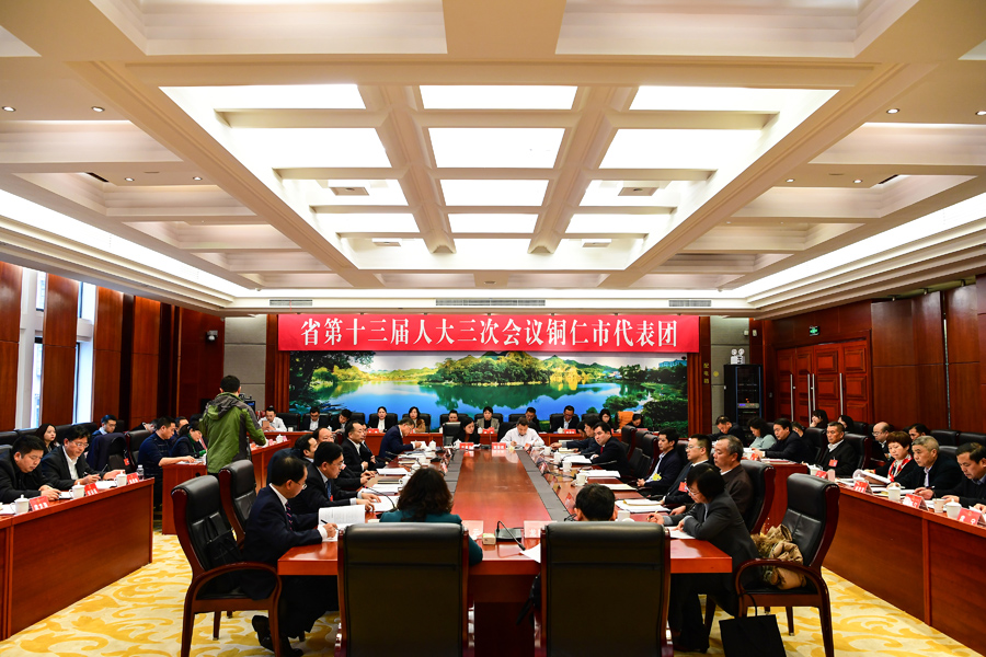 铜仁代表团审议政府工作报告