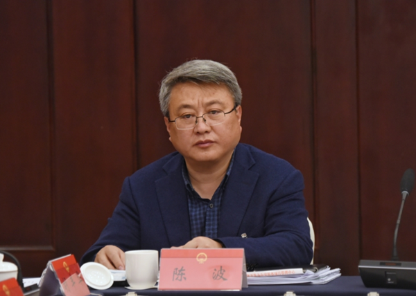 陈波代表：乡村振兴 核心在于农民增收