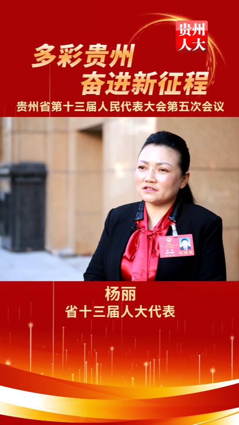 杨丽代表：做大做强黔绣文化，创造美好未来新生活