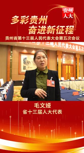 毛文娅代表：为乡村振兴作出的贡献