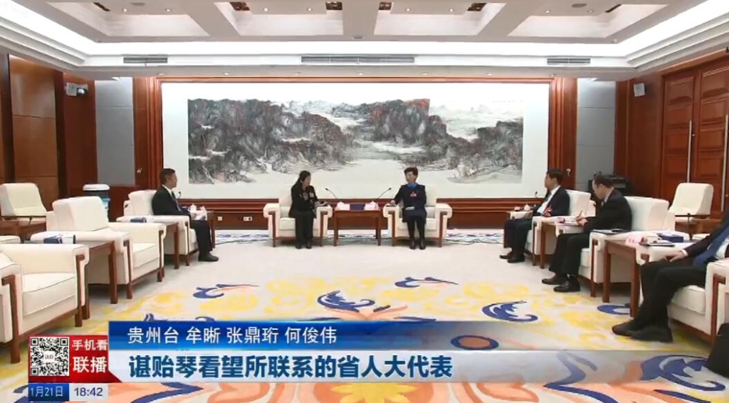 谌贻琴看望所联系的省人大代表