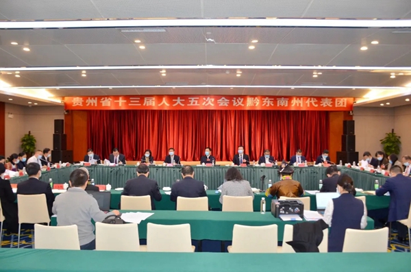 黔东南代表团审议省人大常委会工作报告