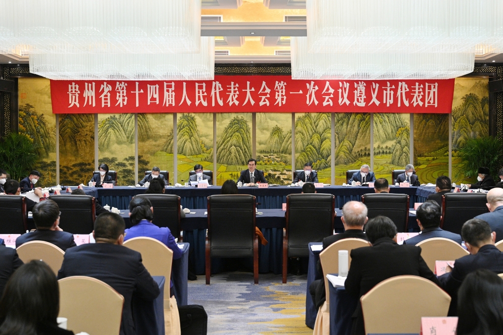 省十四届人大一次会议各代表团审议政府工作报告