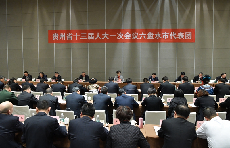 1月28日，省委副书记、代省长谌贻琴参加六盘水代表团审议省人大常委会工作报告