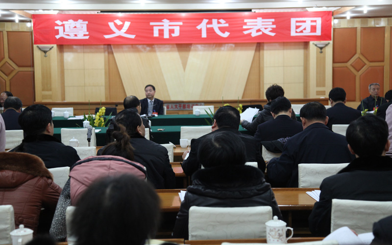 遵义市代表团分组审议政府工作报告