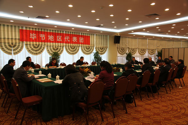 毕节地区代表团审议政府工作报告及“十二五”规划纲要草案