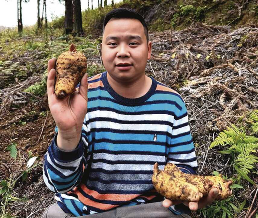 唐臣鹏代表：深山里的“天麻工程师”