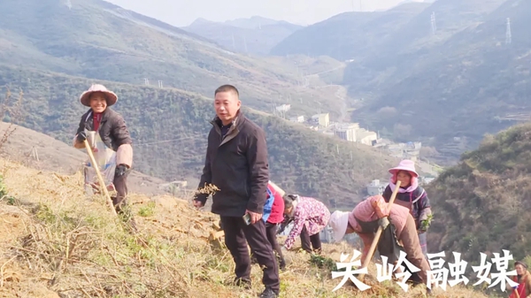 傅向平代表：深耕茶产业，以产业发展带动群众就业增收