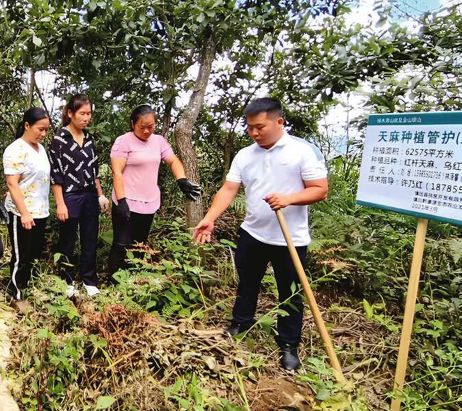 许乃红代表：带领乡亲走上致富路