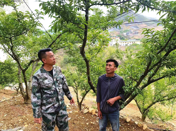 李稳定：让青山深处绽放幸福之花