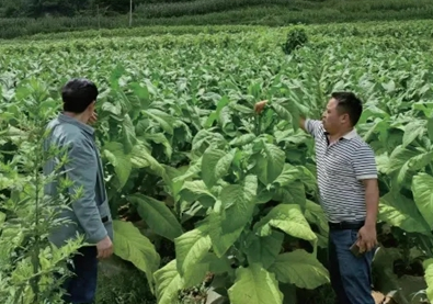 王家兴代表：初心映照朵郎坪