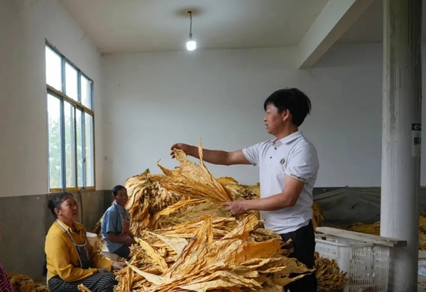 祝荣华代表：履职为民兴奢旮