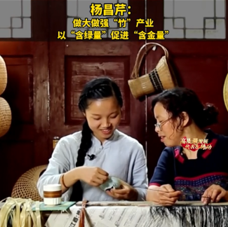 杨昌芹代表：做强做大“竹”产业 以“含绿量”促进“含金量”