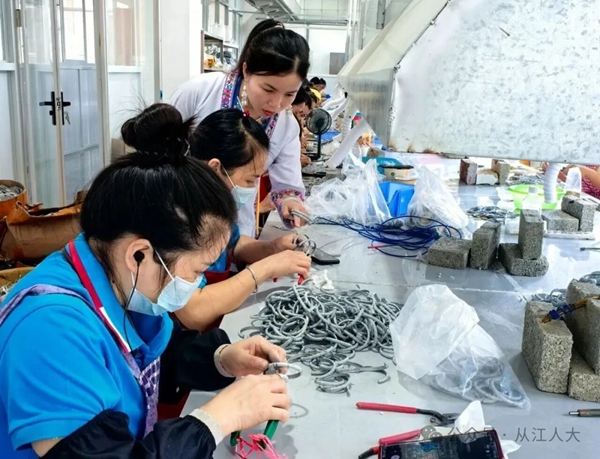 以创业织乡梦 以履职暖民心——侗乡女儿杨除英的双重担当