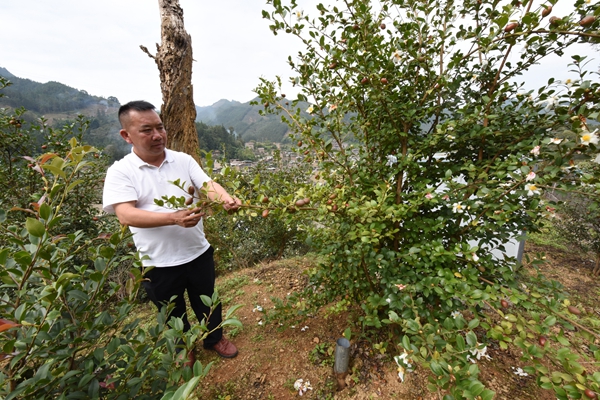 青山沃野绘丹青  人大代表注真情——人大代表罗发国履职纪实