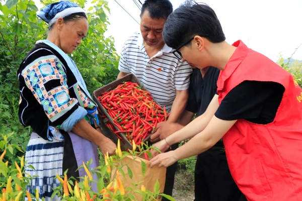 履职尽责践初心 情系群众谋振兴——记开阳县第十八届人大代表田超