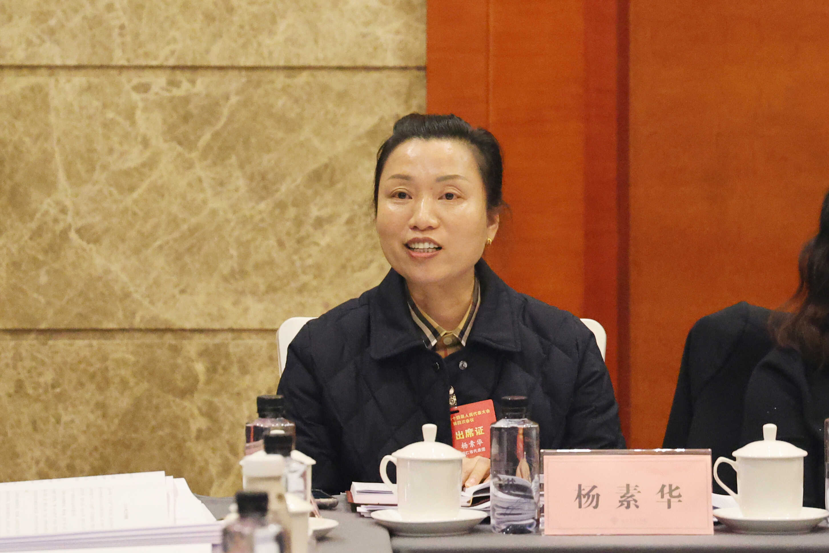 杨素华代表：为环卫工与农村老人权益疾呼