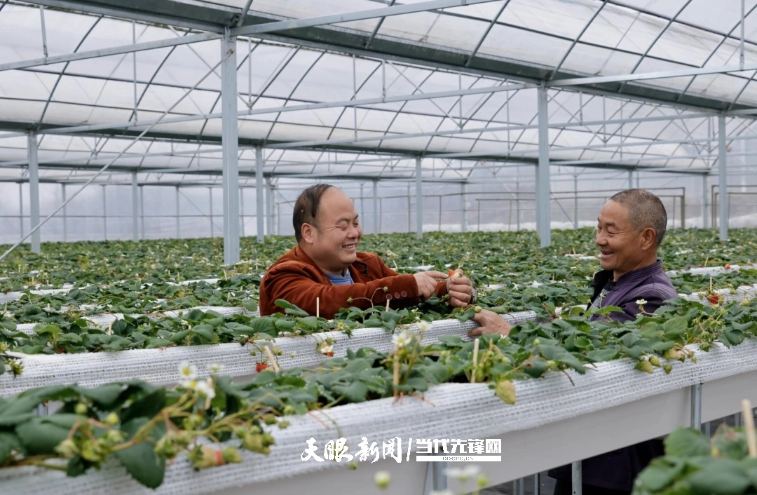 李世瑶代表：在泥土里“种”建议 为乡亲们代好言