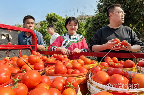 履职为民解民忧！两位全国人大代表联动，打通产销“最后一公里”