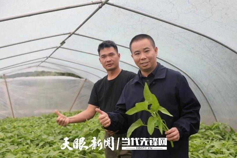 李德祥代表：“马上就干”搭建起从田间到餐桌“惠民桥梁”