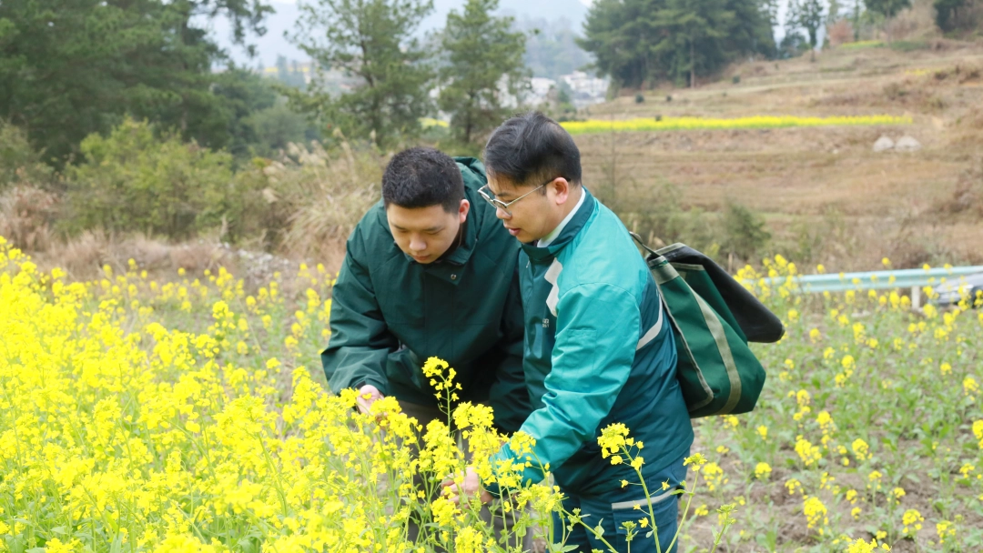 人大代表“老莫”的笔记本：藏着龙里山乡的发展账