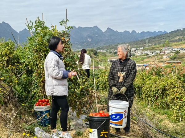 全国人大代表卢丹：“让乡亲们的日子越过越甜！”