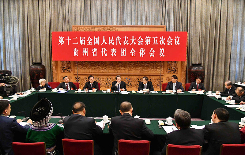 贵州代表团审议全国人大常委会工作报告