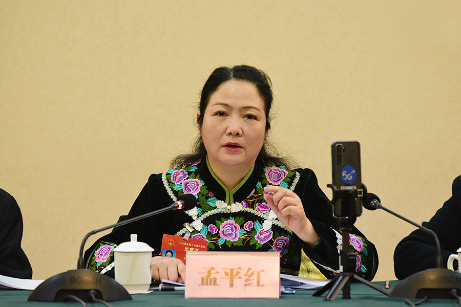 孟平红代表：大力清理整顿房地产行业虚假宣传