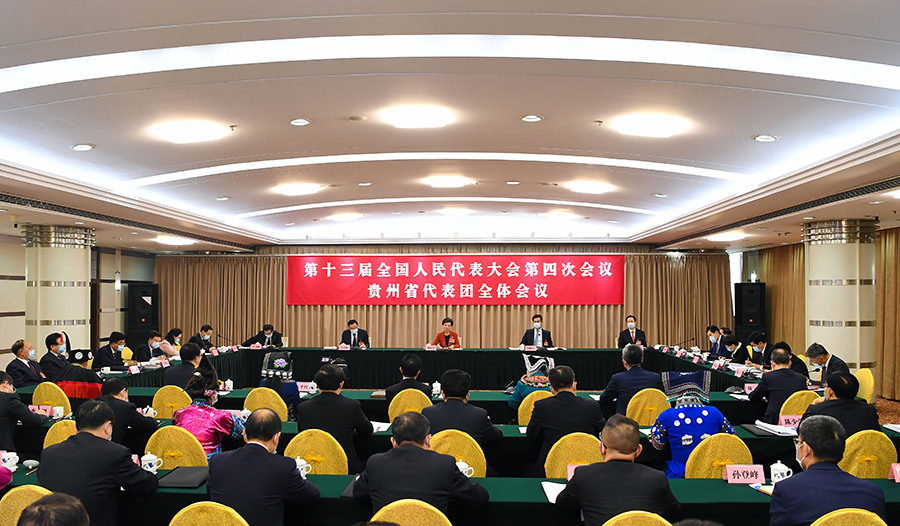 谌贻琴在审议政府工作报告时说：深入学习感悟习近平总书记的人民情怀 以造福人民的优异成绩庆祝建党100周年
