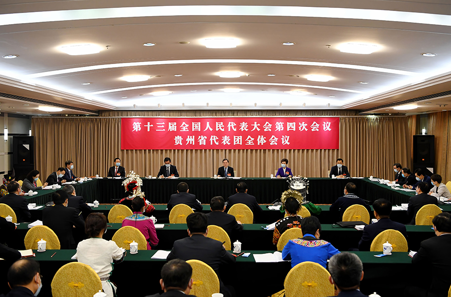 丁薛祥参加贵州代表团审查“十四五”规划和2035年远景目标纲要草案