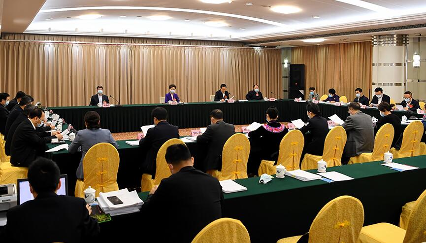 贵州代表团审议有关决议草案