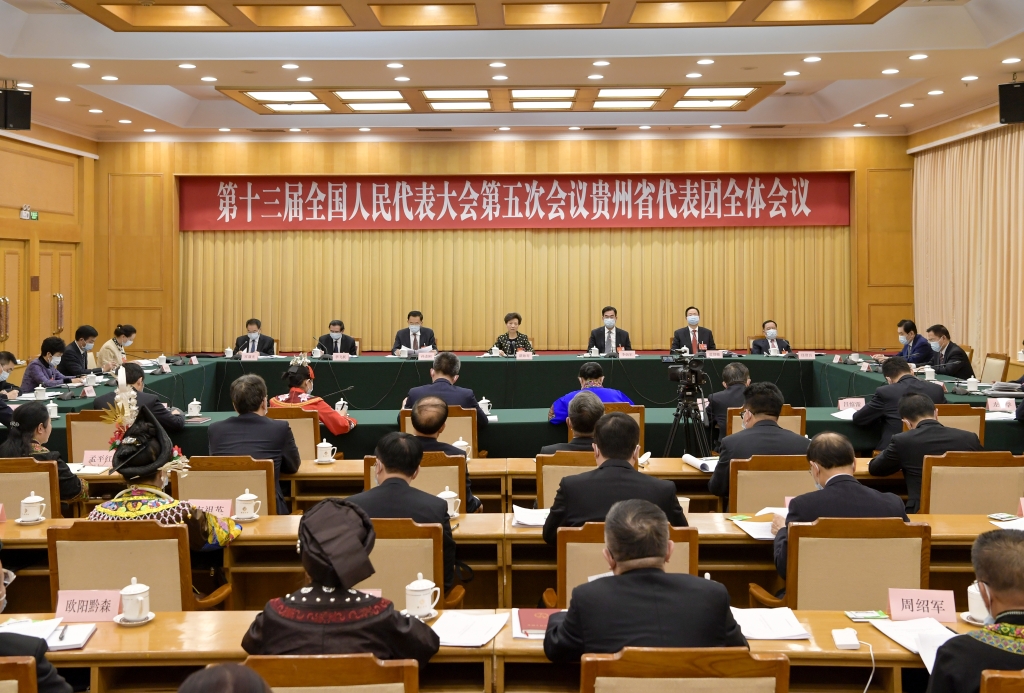 高清大图 | 出席十三届全国人大五次会议的贵州全国人大代表掠影