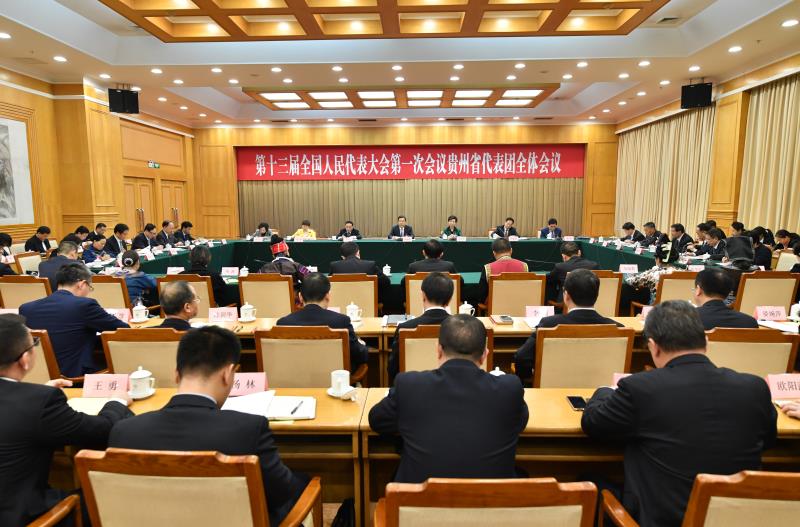 3月12日，出席十三届全国人大一次会议的贵州代表团审议张德江委员长所作的全国人大常委会工作报告。