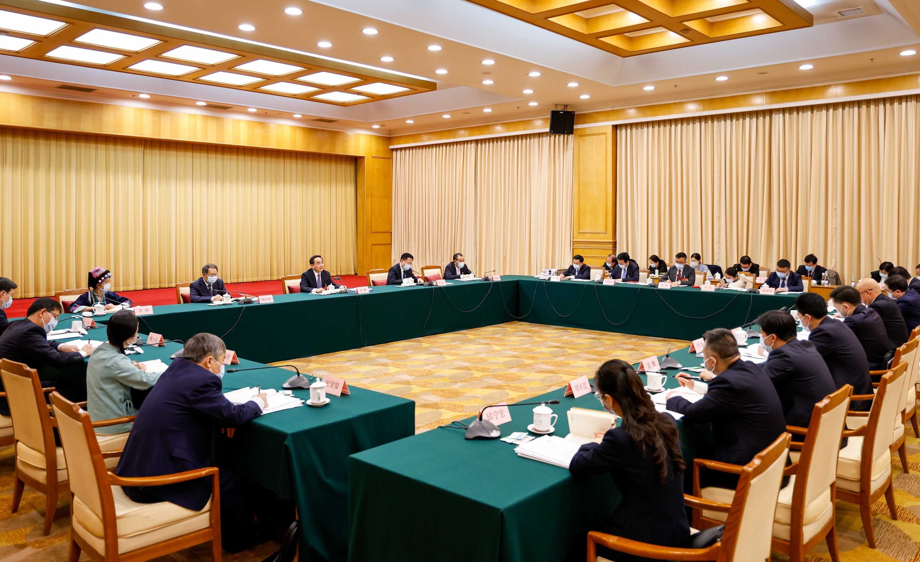 贵州代表团审查计划报告和预算报告 徐麟 李炳军等参加审查