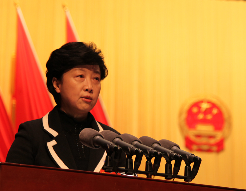 龙超云作省人大常委会工作报告