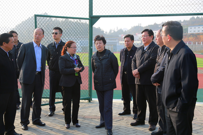 全国人大常委会副委员长严隽琪在贵州调研