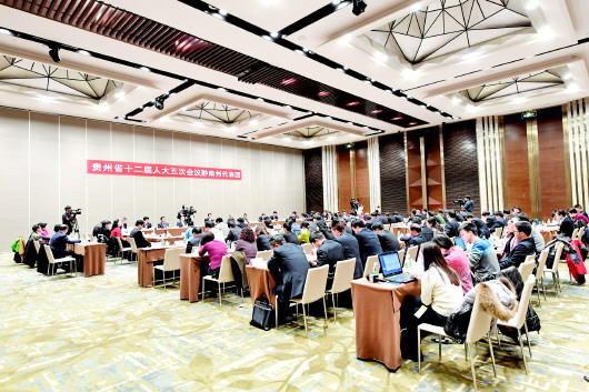 黔南代表团审议《政府工作报告》。