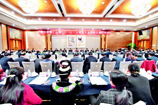 黔东南代表团审议《政府工作报告》。