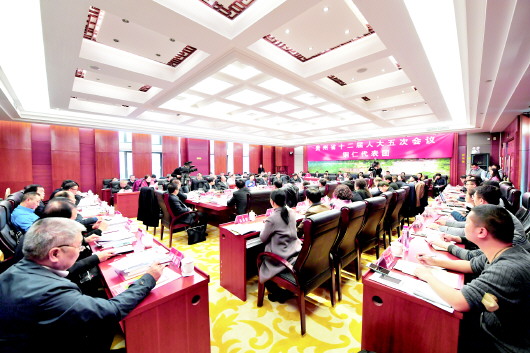 铜仁代表团审议《政府工作报告》。