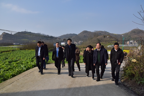 孙永春到兴仁市百德镇围塘村蔬菜种植基地调研