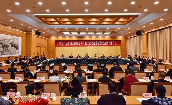 十三届全国人大贵州省代表团全体会议