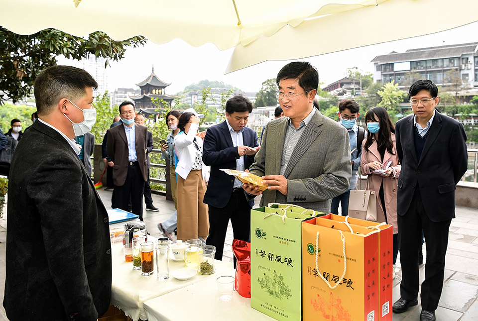 百余茶样角逐春季“茶王”！2020年贵州春季斗茶大赛系列活动在贵阳启动