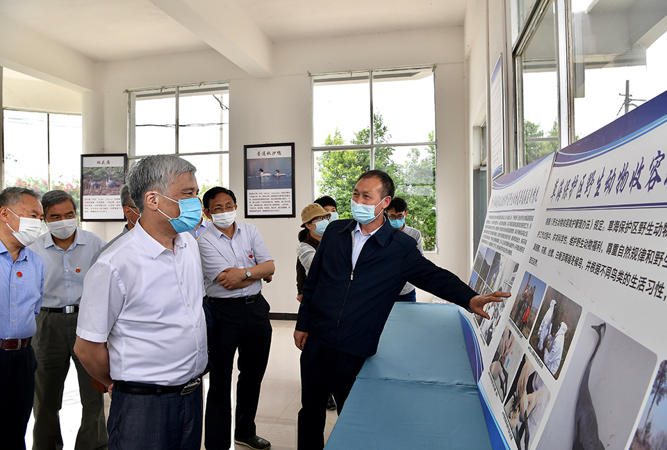 全国人大常委会副委员长丁仲礼率队在我省开展野生动物保护“一决定一法”执法检查
